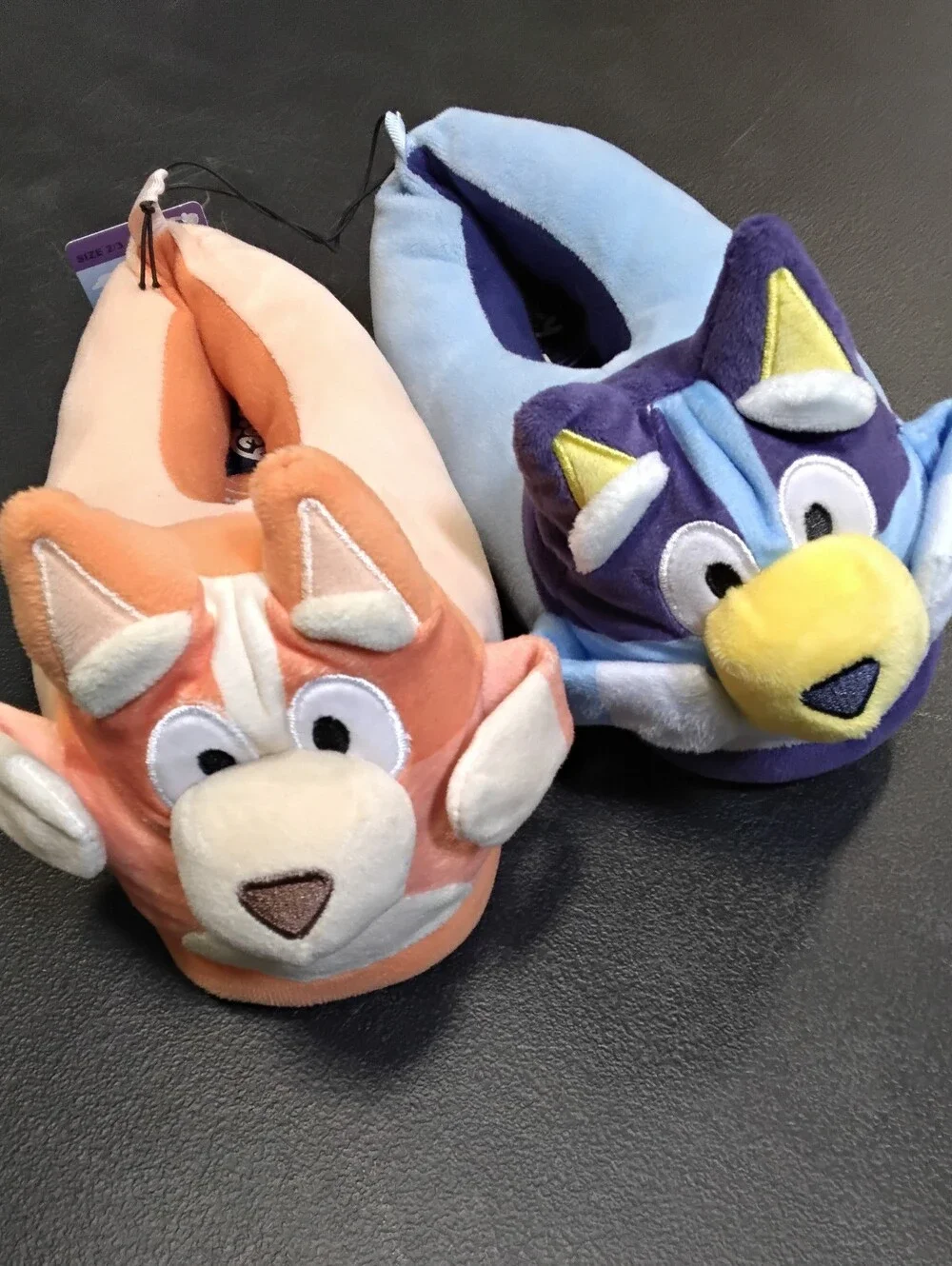 Kids Bluey And Bingo Slippers With Pop Out Arms